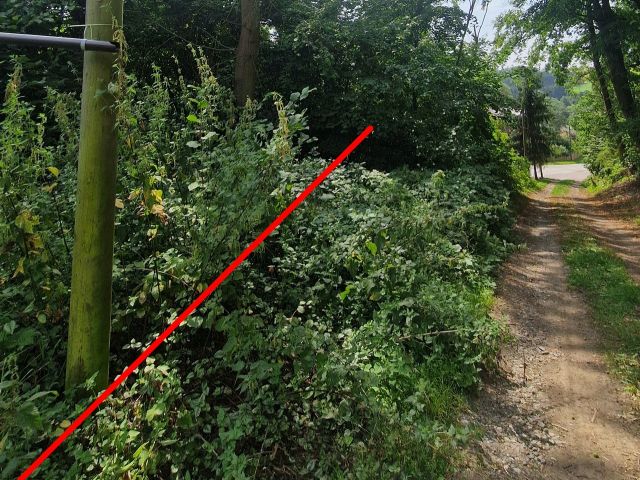 Verkaufsfläche und Umgebung - Vertragsfreies, mit Bäumen bewachsenes Grundstück am nördlichen Ortsrand