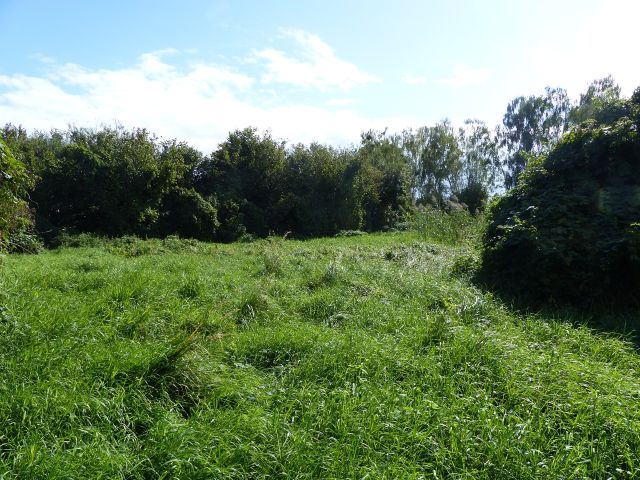 Blick auf die Verkaufsfläche - Vertragsfreie Grünfläche innerhalb der kleinen Splittersiedlung ´Bredow-Luch´ ++ im Berliner Speckgürtel ++