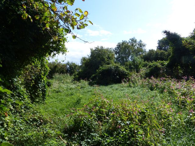 Blick auf die Verkaufsfläche - Vertragsfreie Grünfläche innerhalb der kleinen Splittersiedlung ´Bredow-Luch´ ++ im Berliner Speckgürtel ++