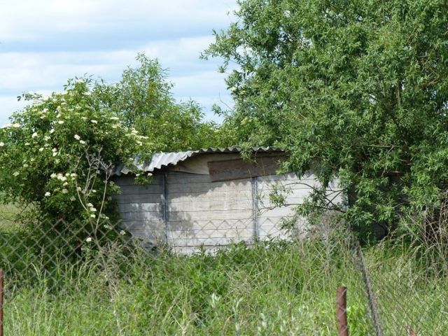 Blick auf den Schuppen - Teilweise vertragslos genutzte Grünfläche neben Wohnbebauung ++ im Berliner Speckgürtel ++