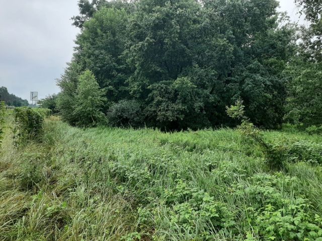 Blick auf die Verkaufsfläche - Vertragsfreies Grundstück südlich an der A12 ++südöstlich von Berlin im Landkreis Oder-Spree++