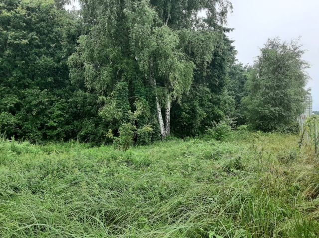 Blick auf die Verkaufsfläche - Vertragsfreies Grundstück südlich an der A12 ++südöstlich von Berlin im Landkreis Oder-Spree++