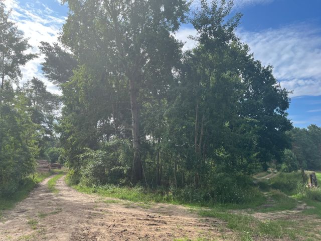 Blick auf das Flurstück 172 und Umgebung - 2 Grundstücke (Waldfläche und Landwirtschaftsfläche) an der A12 ++südöstlich von Berlin im Landkreis Oder-Spree++