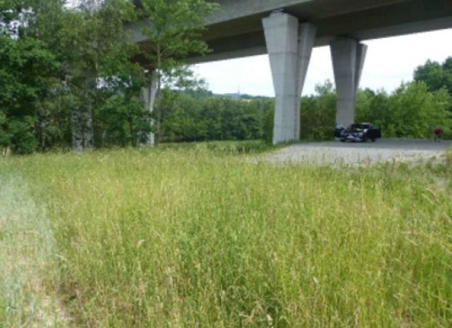 Verkaufsfläche und Umgebung - Vertragsfreies Grundstück westlich, unterhalb der A73