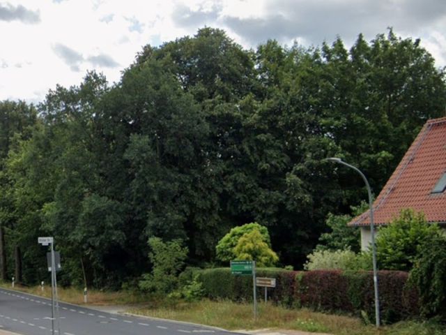 Blick auf Verkaufsgegenstand und Umgebung - Waldfläche neben einem Wohngrundstück in Treuenbrietzen im Landkreis Potsdam-Mittelmark ** lt. Flächennutzungsplan Mischgebiet
