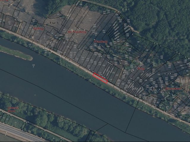 Lageskizze mit Umgebung und Luftbildunterlegung - Weinberg in der Weinlage ´Neefer Frauenberg´ wenige Meter von der Mosel entfernt **vertragslose Bewirtschaftung**