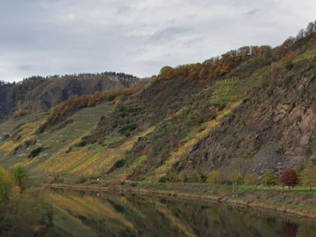 Blick auf die Verkaufsfläche und Umgebung - Weinberg in der Weinlage ´Neefer Frauenberg´ wenige Meter von der Mosel entfernt **vertragslose Bewirtschaftung**