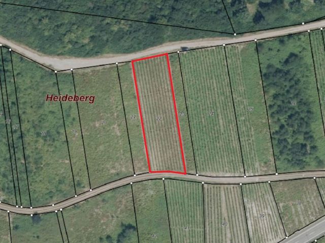 Lageskizze - Vertragsfreier Riesling-Weinberg in der Lage ´Römerquelle´ *direkt vom Weinbauern*