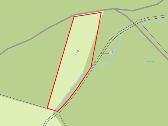 Lageskizze - Flur 1, Flurstück 218/1 - 2 Grundstücke (Landwirtschaftsfläche und Weg) im Landkreis Spree-Neiße **teilweise verpachtet**
